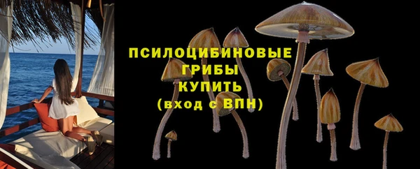 a pvp Надым