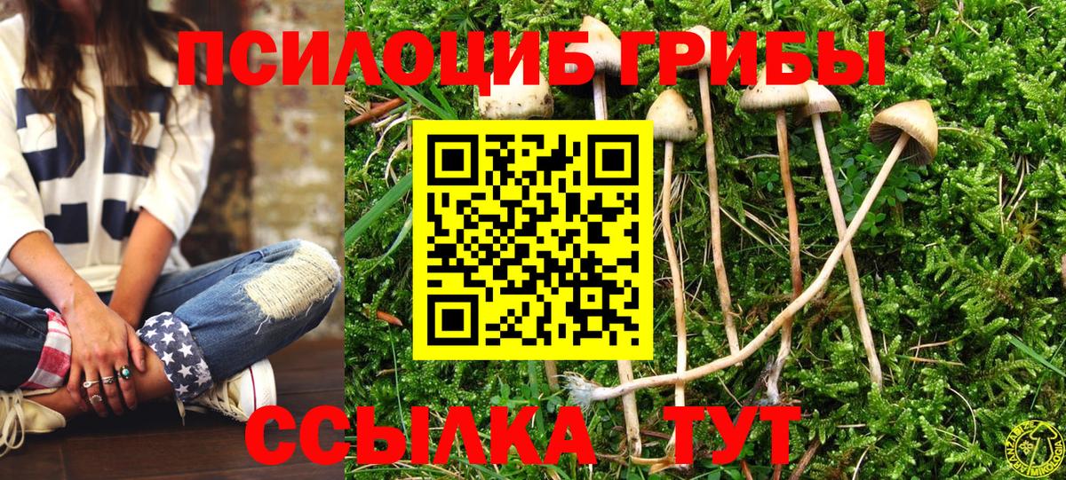 Галлюциногенные грибы Cubensis Рассказово