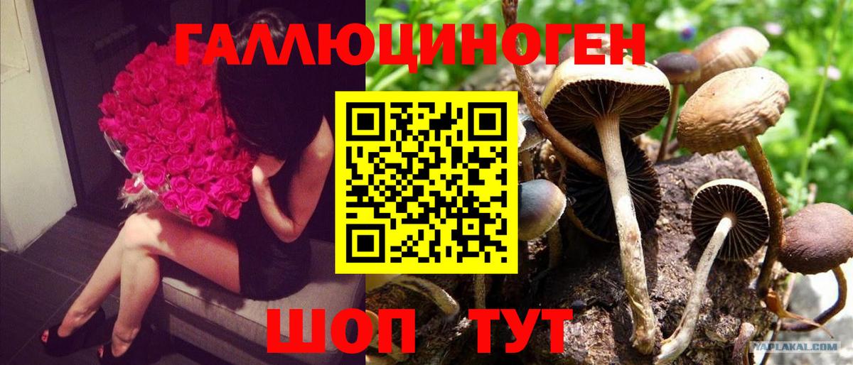 Псилоцибиновые грибы MAGIC MUSHROOMS  Вход с VPN  Рассказово 